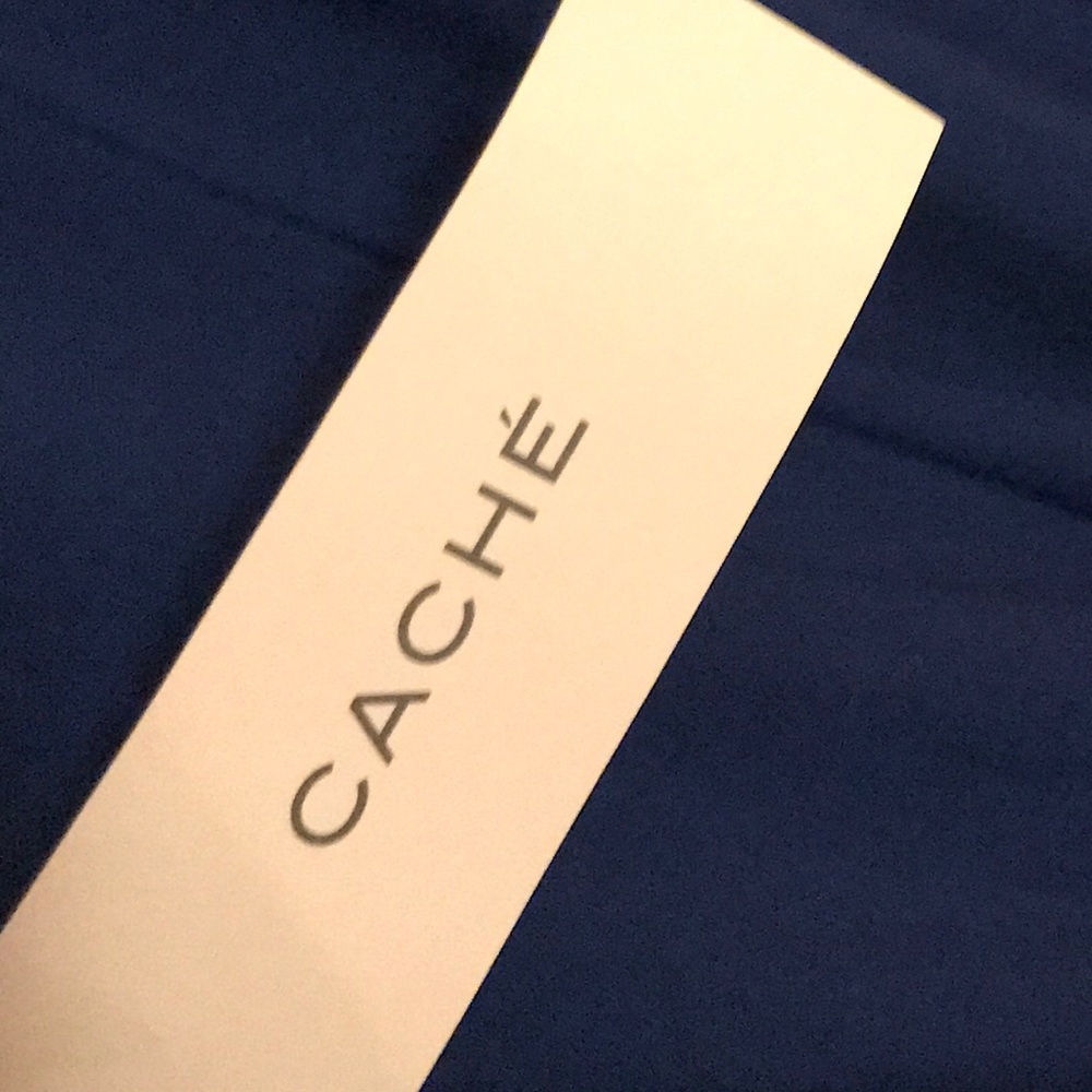 Beautiful gown from Cache! - Picture 5 of 6